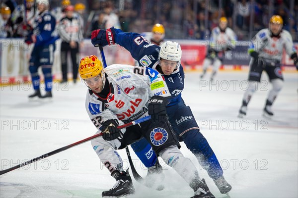 Game scene Adler Mannheim against Fischtown Pinguins Bremerhaven (PENNY DEL, German Ice Hockey League)