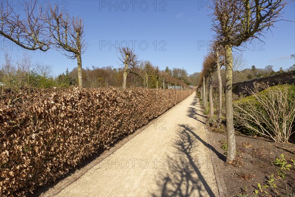 Garden designed by Piet Oudolf at Scampston Hall, Yorkshire, England, UK, Plantsman's Walk