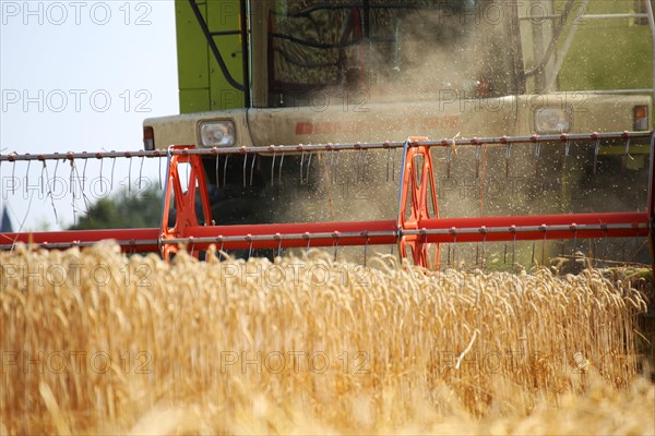 Agriculture grain harvest (Rhineland-Palatinate, July 2020)