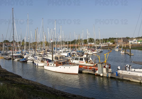 Boats at pontoon berth moorings, Fox's marina and boatyard, Ipswich, Suffolk, England, UK