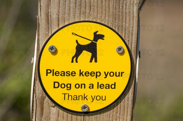 Macro close up of Dogs on Lead Please sign on fencepost, Sutton, Suffolk, England, UK