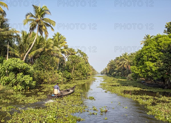 A man in a small boat glides through a canal near Kumarakom, Kerala backwaters, India, Asia