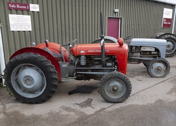 Vintage Massey-Ferguson tractors on display at an auction, Suffolk, England, UK