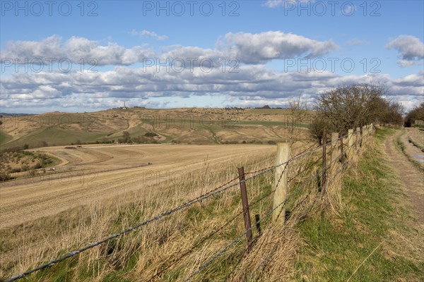 Chalk downs landscape view to Lansdowne monument from near Morgan's Hill, Wiltshire, England, UK