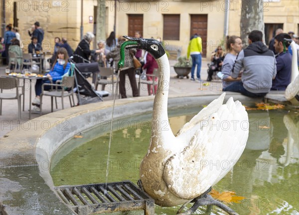 Swan in water fountain pond of main square, village of San Vicente de la Sonsierra, La Rioja, Spain, Europe