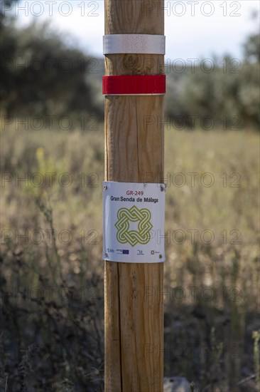 Signpost waymark for long distance footpath GR-249, Gran Senda de Malaga, Periana, Axarquia, Andalusia, Spain, Europe