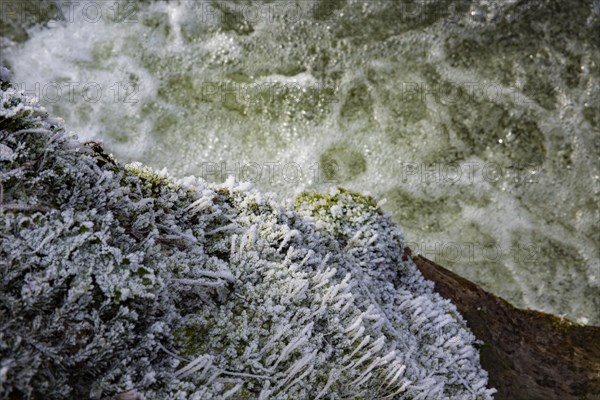 Severe frost has formed bizarre ice formations in the riverbed of the Gottleuba. Frozen spray covers the moss carpets on the rocks, Bergieshuebel, Saxony, Germany, Europe