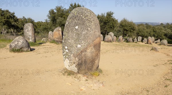 Neolothic stone circle of granite boulders, Cromeleque dos Almendres, Evora district, Alentejo, Portugal, southern Europe, Europe