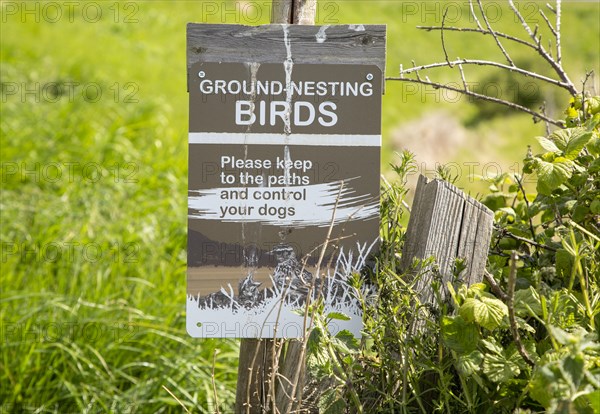 Ground-nesting birds sign about keeping to paths and controlling dogs, Shingle Street, Hollesley, Suffolk, England, UK