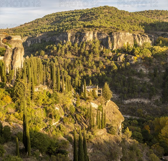 Wooded rocky gorge valley sides with cypress trees, river gorge, Rio Huecar, Cuenca, Castille La Mancha, Spain landscape at dusk