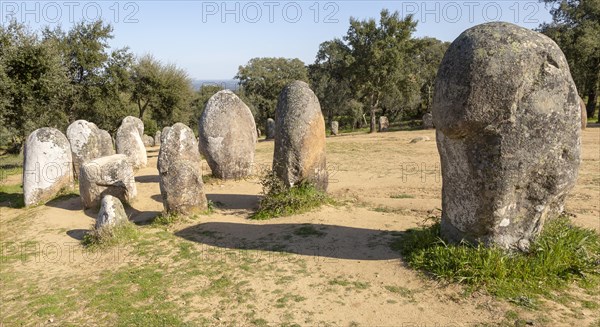 Neolothic stone circle of granite boulders, Cromeleque dos Almendres, Evora district, Alentejo, Portugal, southern Europe, Europe