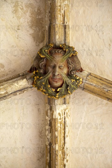 Roof boss face of green or wild man in cloisters, Norwich Cathedral, Norfolk, England, UK