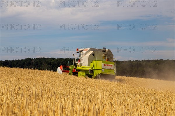 Grain harvest in the district of Bad Duerkheim (Rhineland-Palatinate)