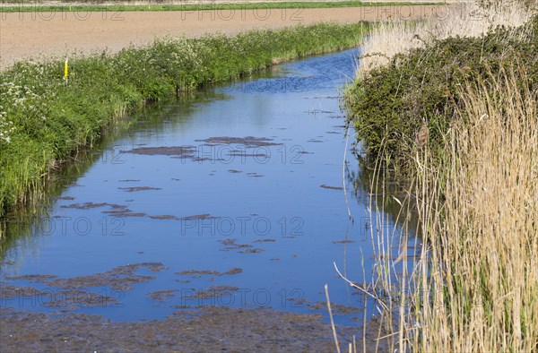 Water in drainage ditch channel through arable farmland, Hollesley, Suffolk, England, UK