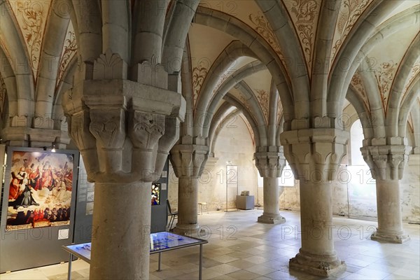 Ceiling with floral frescoes, Bebenhausen Cistercian Monastery, Tuebingen, Baden-Wuerttemberg, Germany, Europe