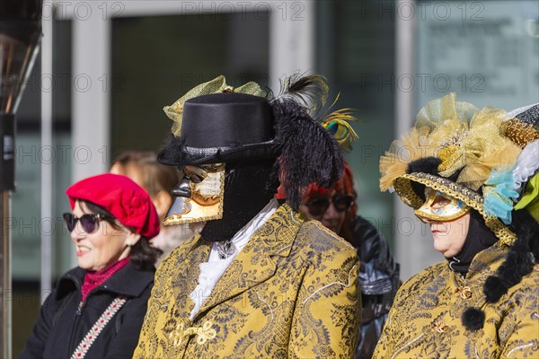 LUST & PASSION & JOY OF LIFE, for the joy of the masquerade, the Elbvenezian Carnival took place in Dresden on the weekend in front of Rose Monday. The highlight was the joint stroll through the historic centre with masks in robes in the style of the Elbe Venetian Carnival from the Neumarkt through the Altmarktgalerie, the Schlossstrasse, through the Stallhof, along the Fuerstenzug, onto the Bruehlsche Terrasse and into the Bruehlsche Garten, Dresden, Saxony, Germany, Europe