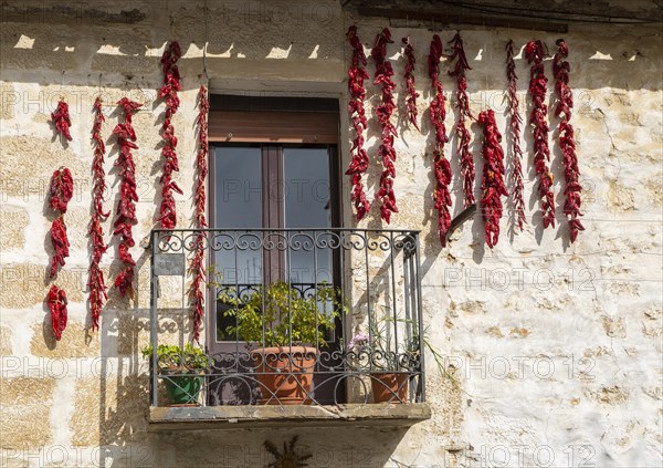 Strings of red peppers chilies drying outside house, village of Elceigo, Alava, Basque Country, northern Spain
