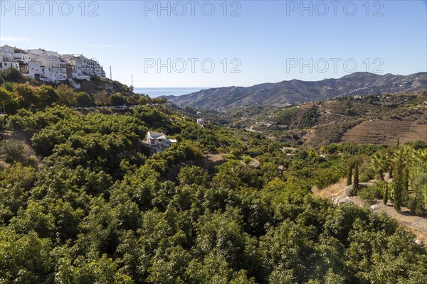 Landscape view of scenery hillsides with farms and farmhouses, Frigiliana, Axarquia, Andalusia, Spain, Europe