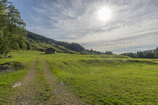 Alpine farm at Lecknersee, humpback meadow, path, municipality of Dornbirn, Bregenzerwald, Voralberg, Austria, Europe