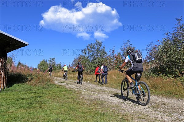 Mountain bike tour through the Bavarian Forest with the DAV Summit Club: Mountain bikers on the ascent to the Grosser Arber