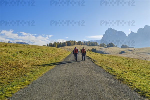 Two hikers on the Alpe di Siusi, morning light and blue sky, frost, Dolomites, South Tyrol