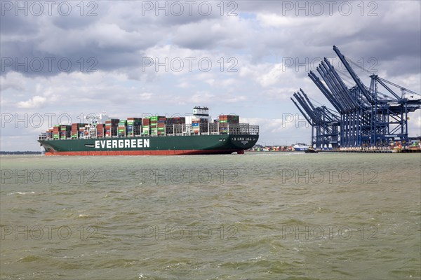 Evergreen Ever Govern one of the world's largest container ships making maiden call at Port of Felixstowe, Suffolk, England, UK, 17 Aug 2019