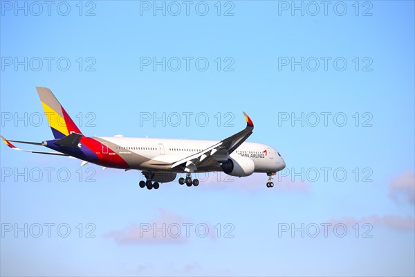 A passenger plane of the South Korean airline Asiana Airlines lands at Frankfurt Airport