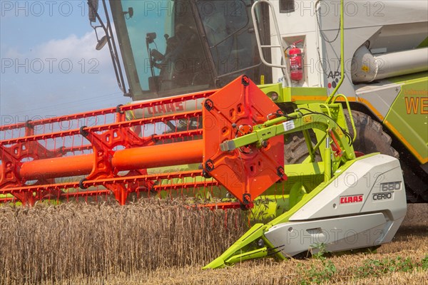 Grain harvest near Hockenheim, Baden-Wuerttemberg