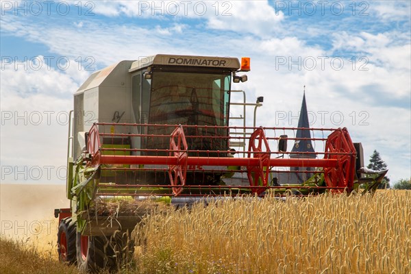 Grain harvest in the district of Bad Duerkheim (Rhineland-Palatinate)