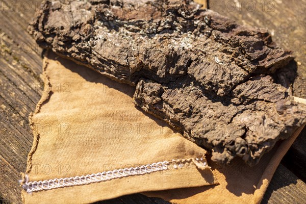 Cotton material dyed brown by oak bark