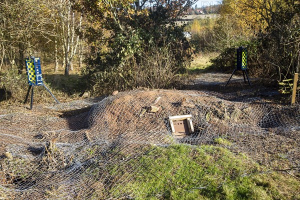 Eviction of badgers clearance of badger sett using metal fencing and one way exit gates, part of HS2 project near Kenilworth, Warwickshire, England, November 2020. Armadillo Videoguard surveillance robots used to observe site and detect protestors