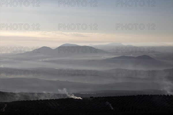 Misty morning view south over Rio Guadalquivir valley from Baeza, Jaen province, Andalusia, Spain, Europe