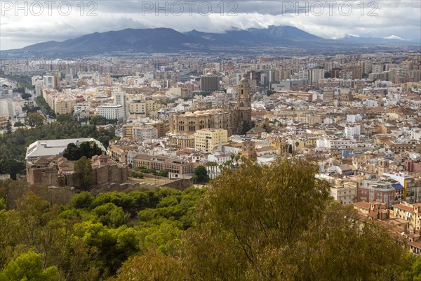 Cityscape view go high density buildings in city centre of Malaga, Spain including the cathedral church