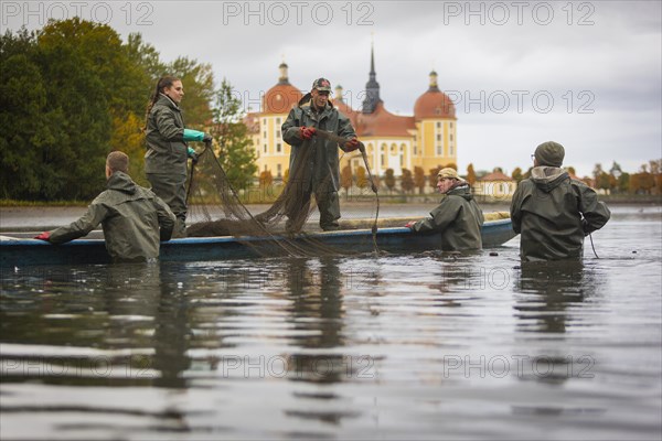 Fish and forest festival, fishing in the Moritzburg castle pond