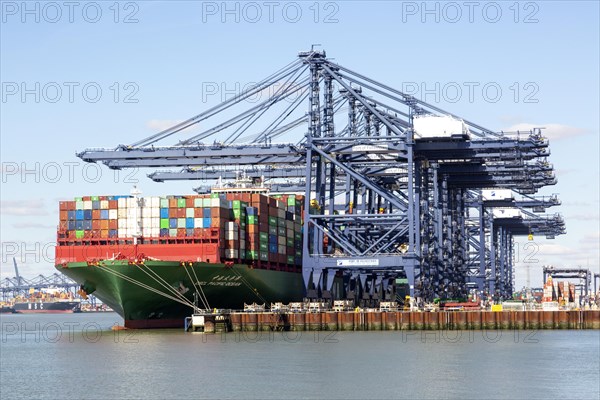 CSCL Pacific Ocean container ship and cranes at dockside, Port of Felixstowe, Suffolk, England, UK