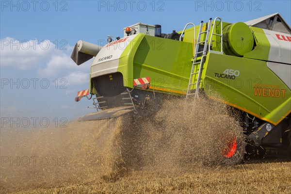 Grain harvest near Hockenheim, Baden-Wuerttemberg