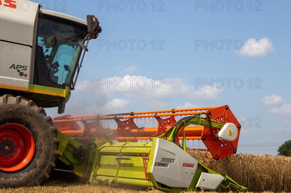 Grain harvest near Hockenheim, Baden-Wuerttemberg