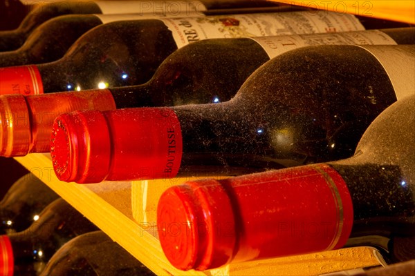 Wine cellar with red wine bottles (editorial)