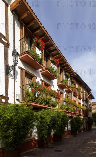 Historic buildings in town of Ezcaray, La Rioja Alta, Spain, Europe