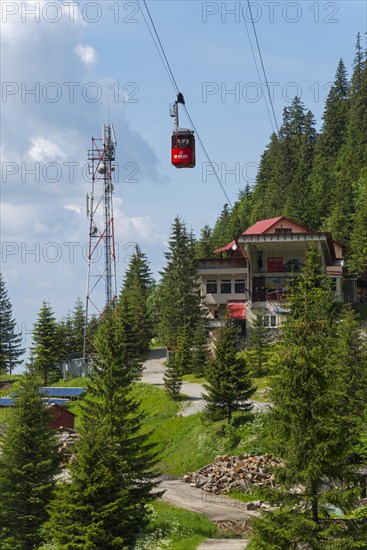 A red cable car gondola approaches a mountain station surrounded by fir trees on a sunny day, Balea Cascada cable car station, Transfogarasan High Road, Transfagarasan, TransfagaraÈ™an, FagaraÈ™ Mountains, Fagaras, Transylvania, Transylvania, Transylvania, Ardeal, Transylvania, Carpathians, Romania, Europe