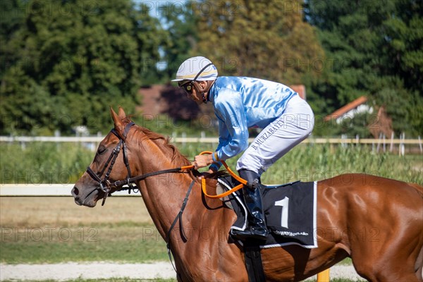 Race day at the racecourse in Hassloch, Palatinate. Cantering in in front of the Hassloch Mile (category D, 1, 600 metres) . Here Bauyrzhan Murzabayev on Muelheimer Perle