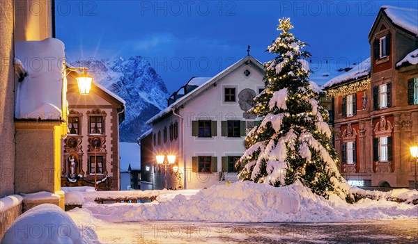 Snow-covered Christmas tree on the historic Ludwigstrasse in the Partenkirchen district with Zugspitze 2962m at dusk, Garmisch-Partenkirchen, Loisachtal, Werdenfelser Land, Upper Bavaria, Bavaria, Germany, Europe