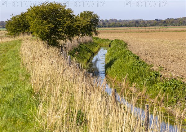 Water in drainage ditch channel through arable farmland, Hollesley, Suffolk, England, UK