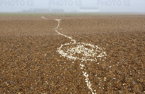 Coastal fog adds mystery to a line of white shells crossing pebble beach, Shingle Street, Suffolk, England, UK