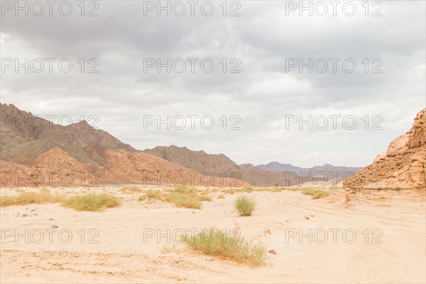 Desert, red mountains, rocks and cloudy sky. Egypt, the Sinai Peninsula, Dahab