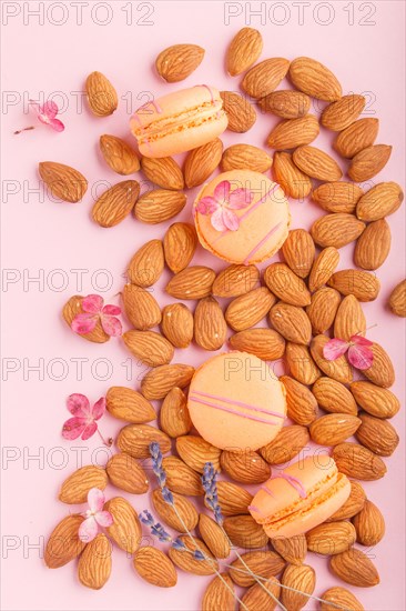 Orange macarons or macaroons cakes with almond nuts on pastel pink background. top view, flat lay, close up