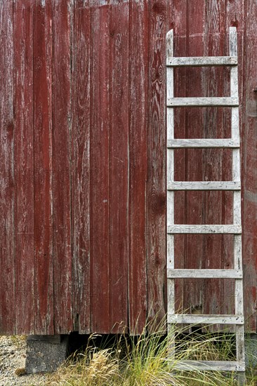 Wooden ladder leaning against the red wooden wall of a fisherman's hut, Hvide Sande, Midtjylland region, Denmark, Europe