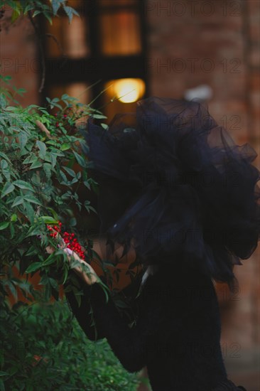 A woman in motion wearing a tulle hat among berries, with warm evening light in the background