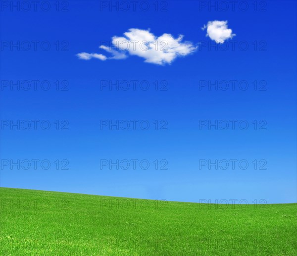 One single small fluffy white fair weather cloud in blue sky