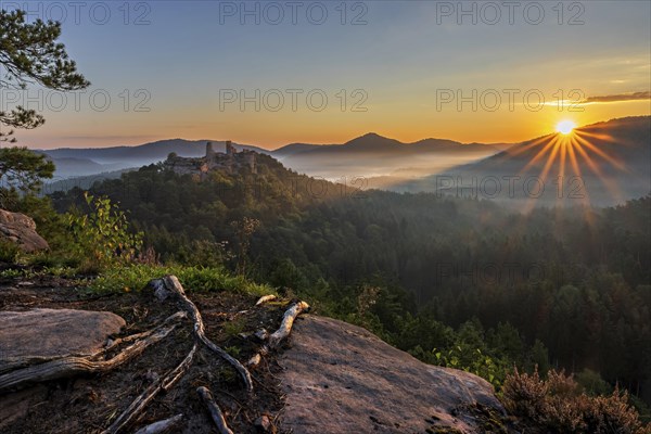 Sunrise on the Haferfelsen with a view of the ruins of Alt Dahn Castle in the Pflaelzer Forest, which lies in the ground fog
